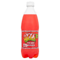 Biggs 600ml - Broadgate Store